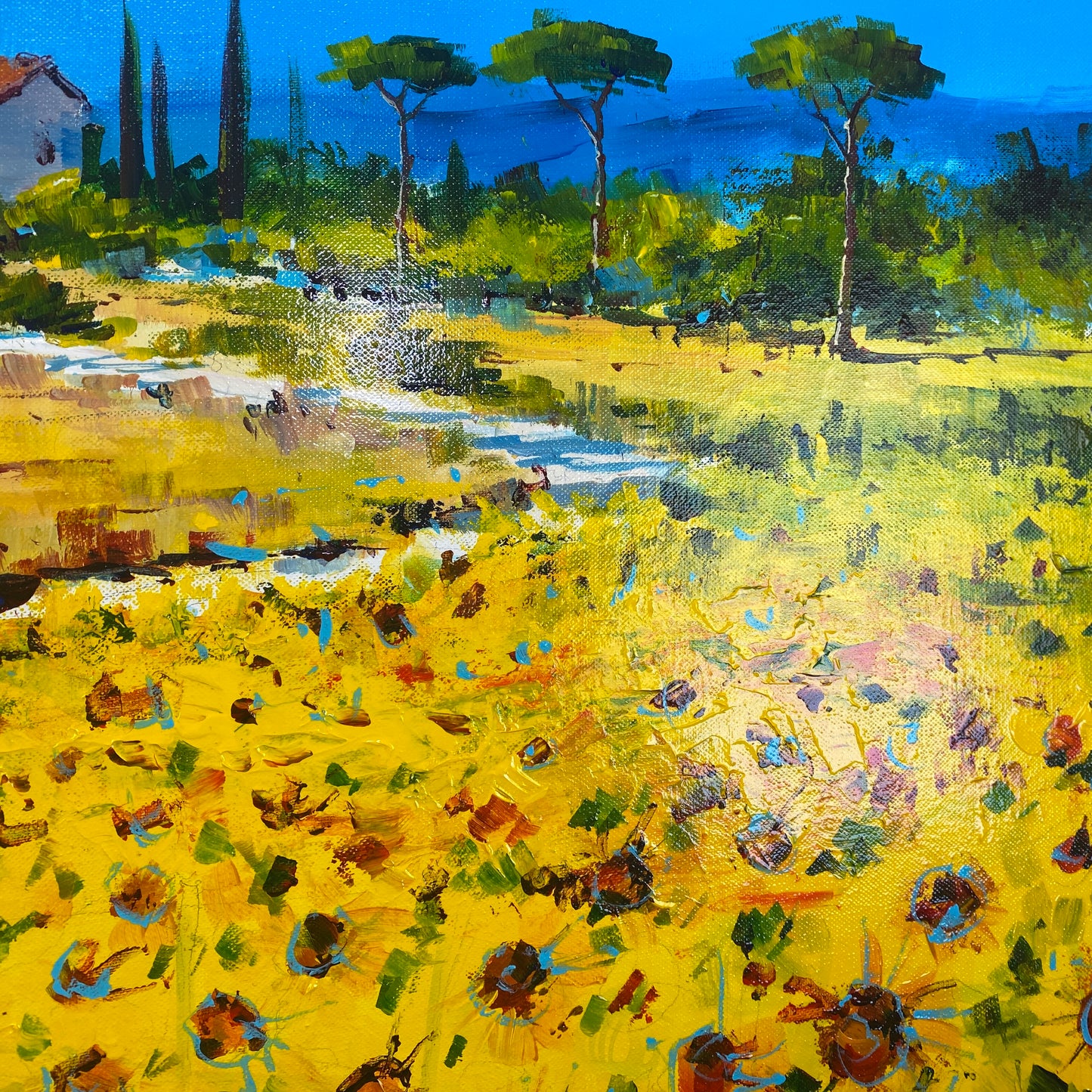 Gary Samms Original Art Sunflower Bella Vista