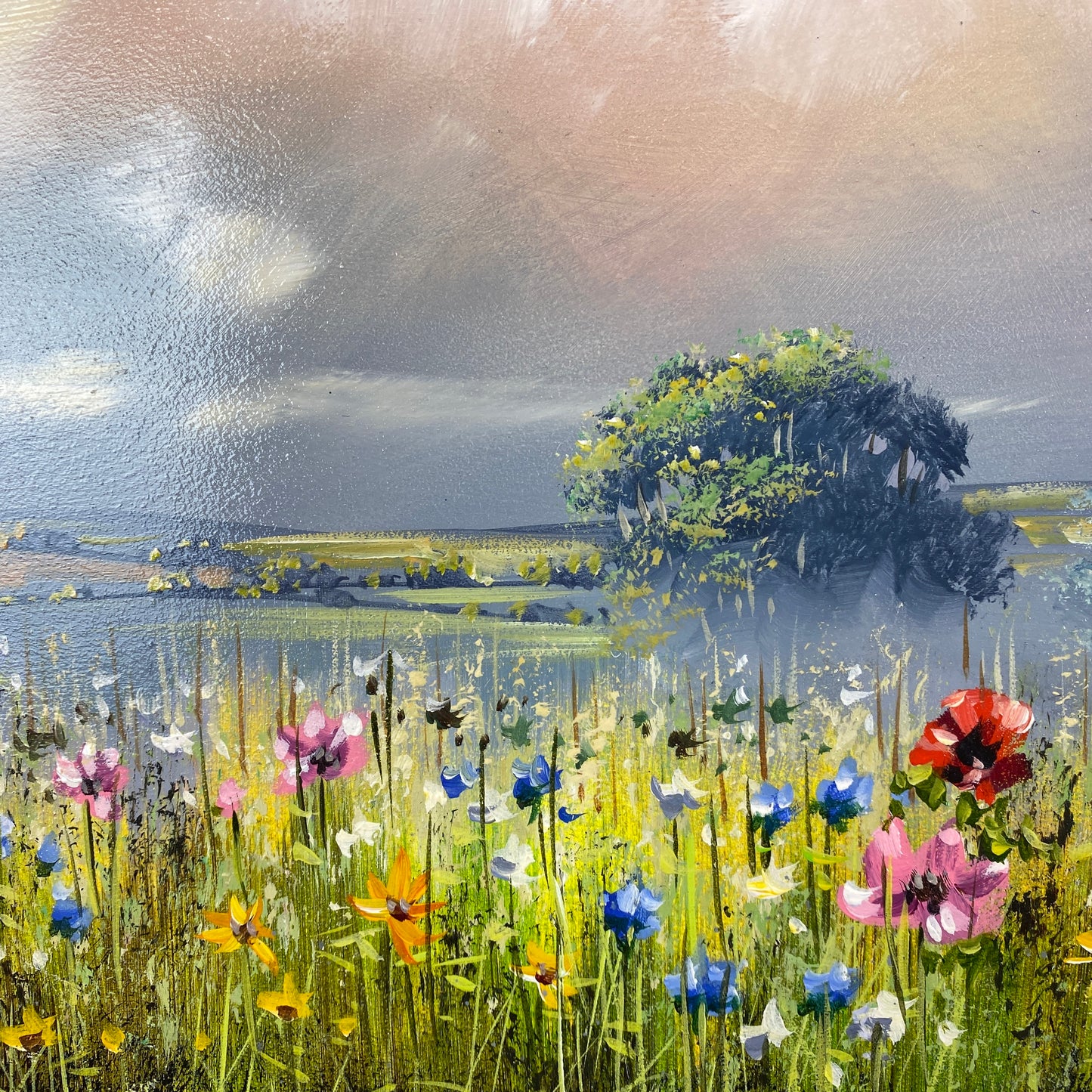 Allan Morgan Wild Flower Meadow