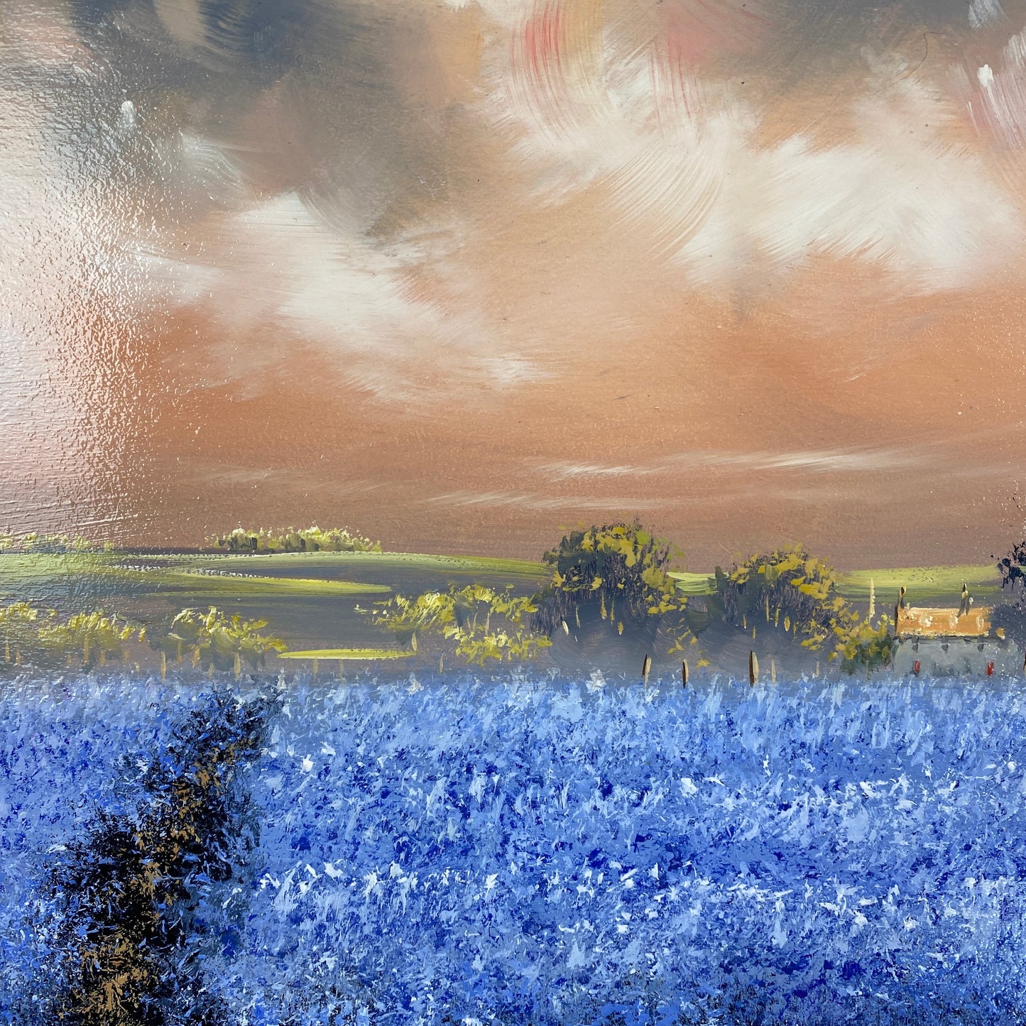 Allan Morgan Sky Blue Meadow