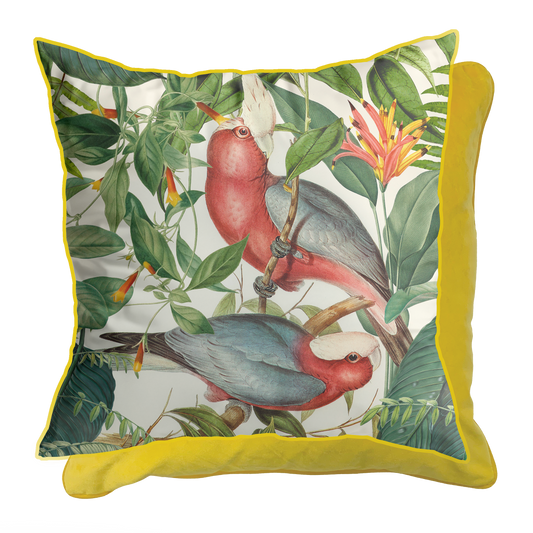 Andrea Haase Tropical Birds Art Cushion